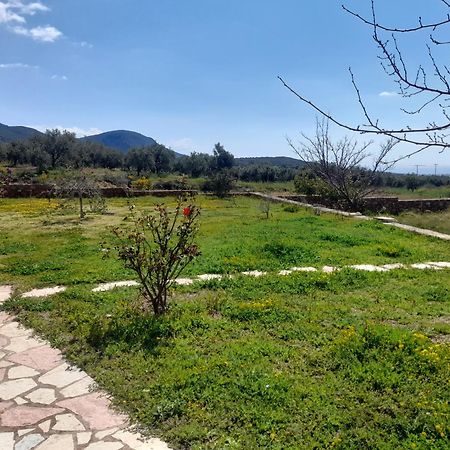 “Villa Othon-Leni” Paralia Demonias Exterior photo