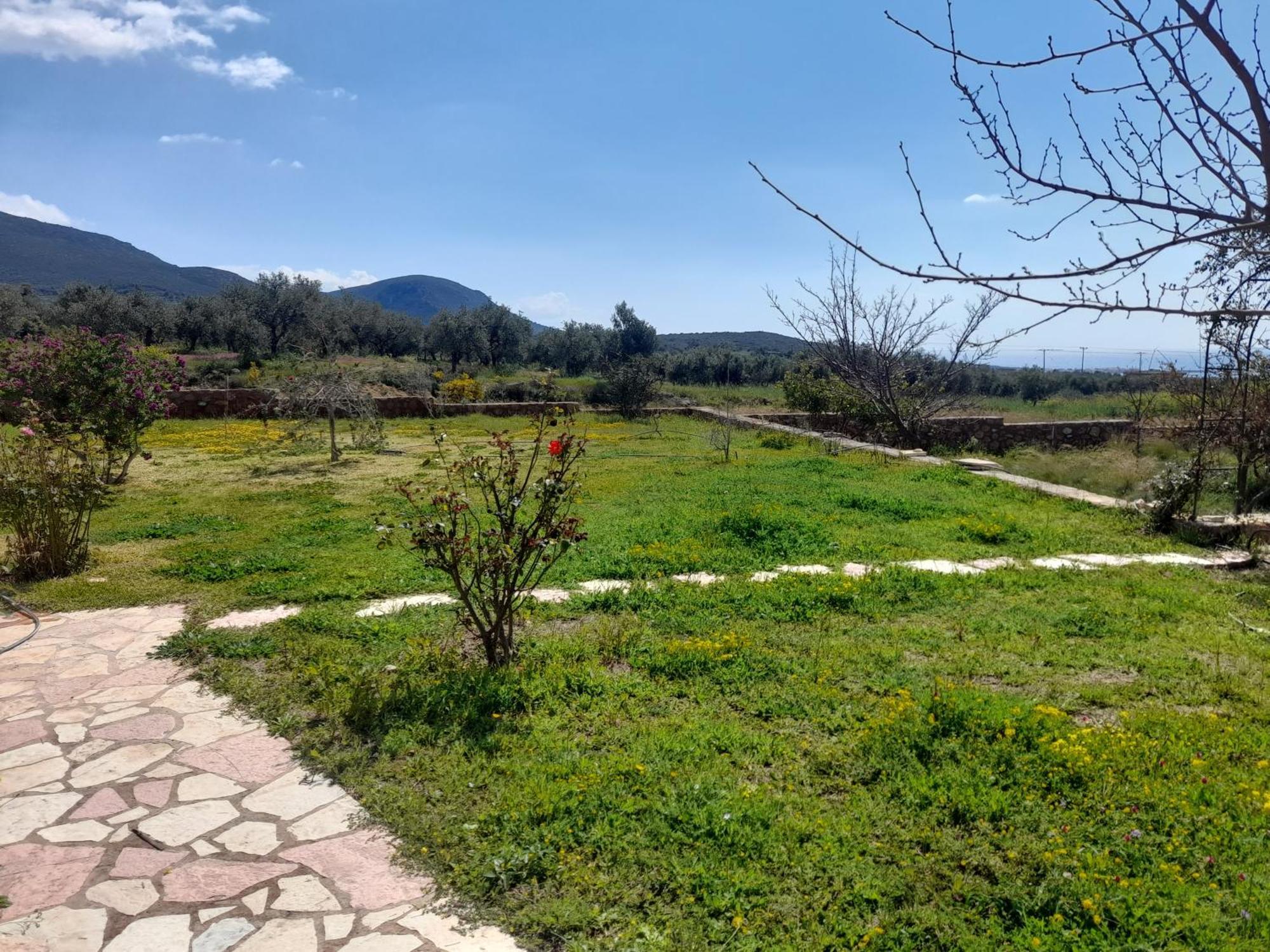 “Villa Othon-Leni” Paralia Demonias Exterior photo