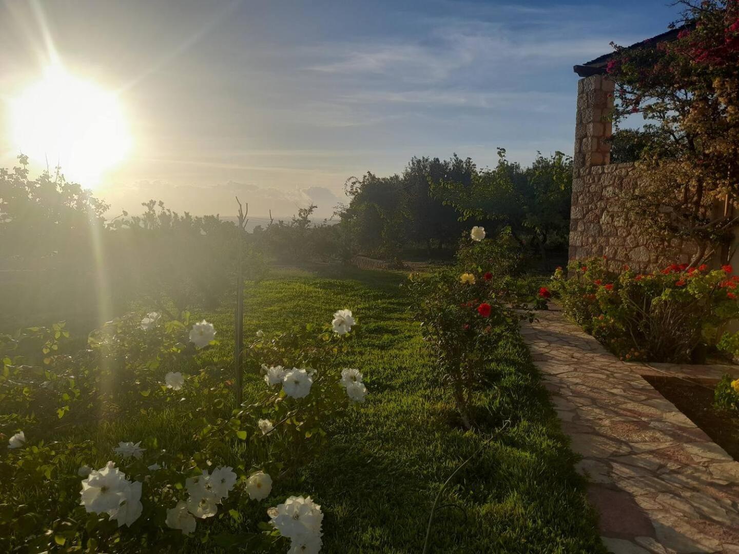 “Villa Othon-Leni” Paralia Demonias Exterior photo